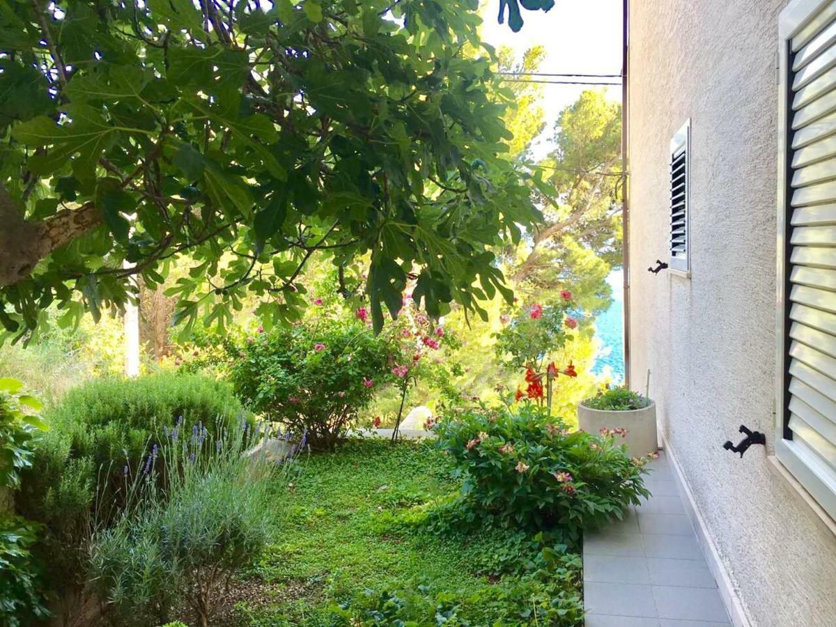 Apartment Martinovic Marusici (Split-Dalmatia) Exterior foto